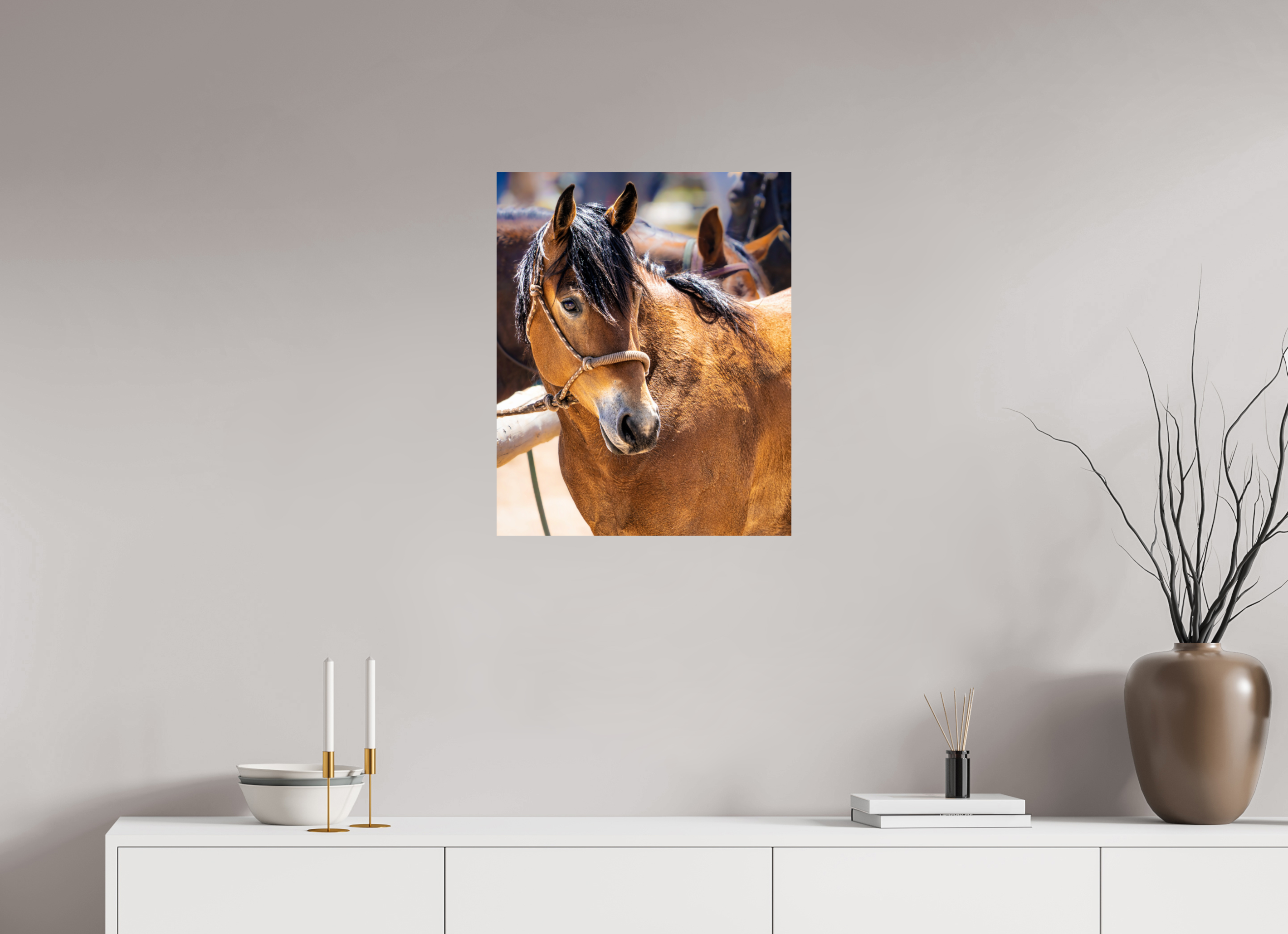 20 x 24.7″, PHOTO PAPER Pack Horse Portrait 5