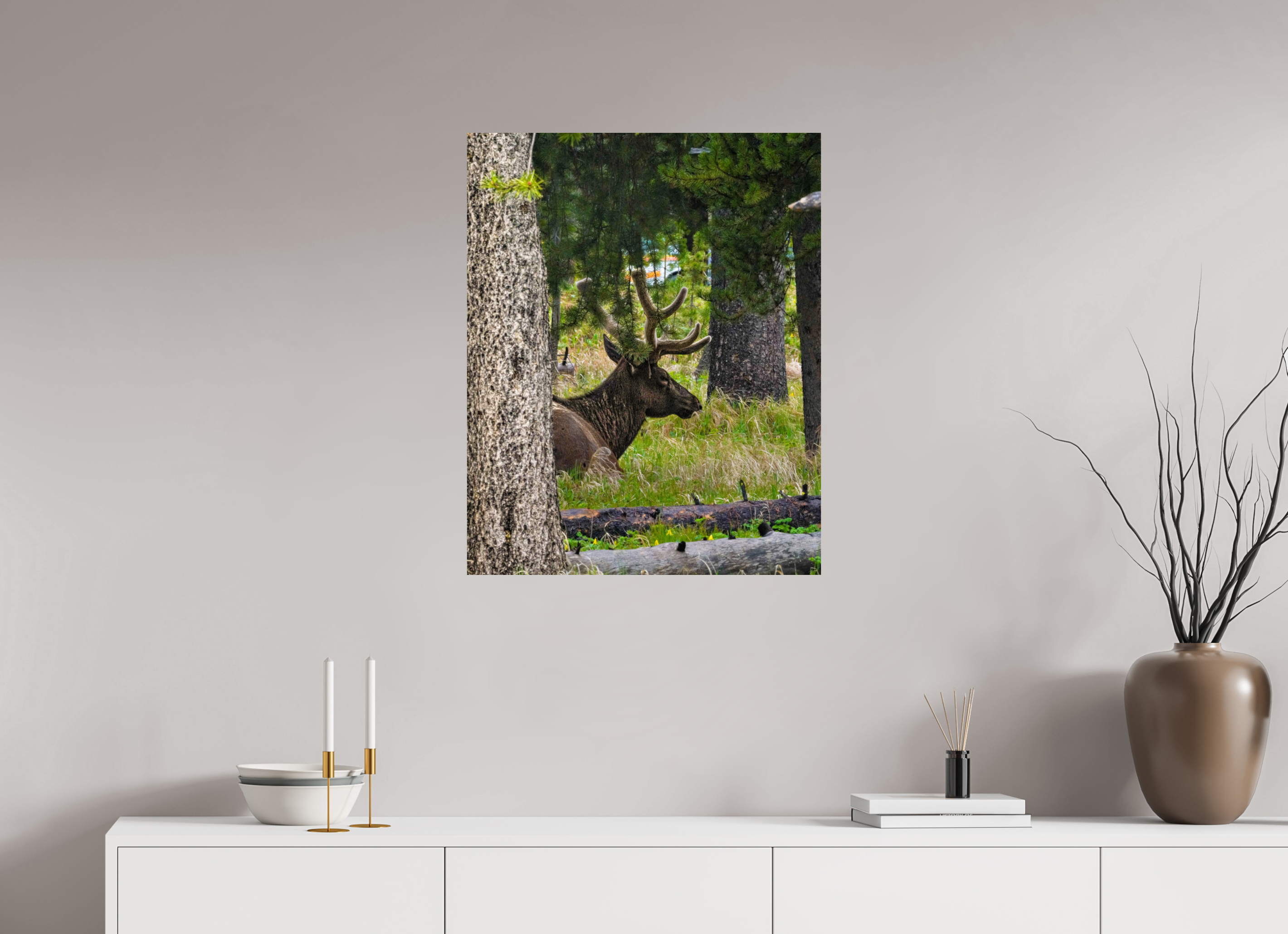 24 x 30″, PHOTO PAPER Elk