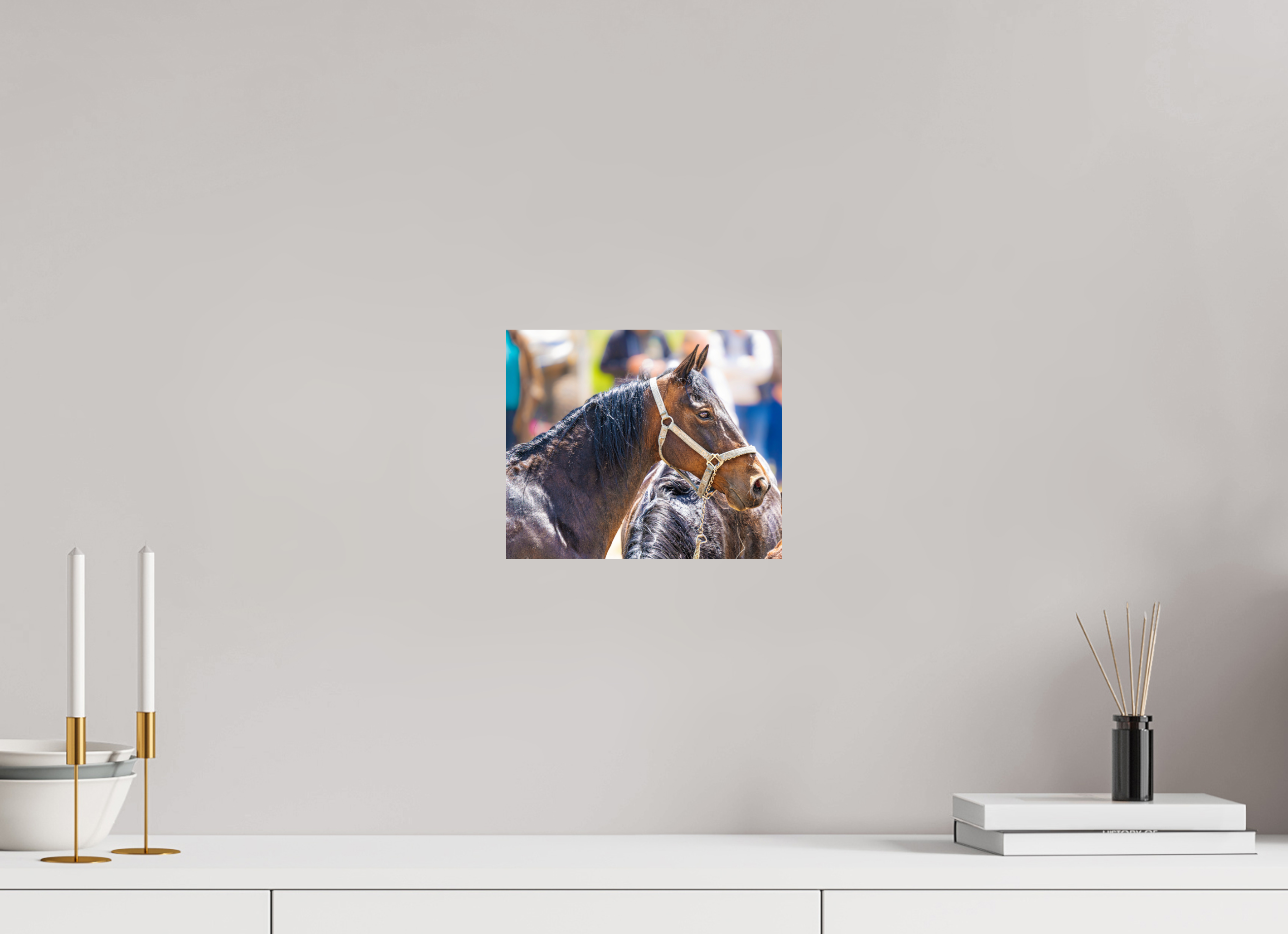 9.6 x 8″, PHOTO PAPER Pack Horse Portrait 14 Web Exclusive