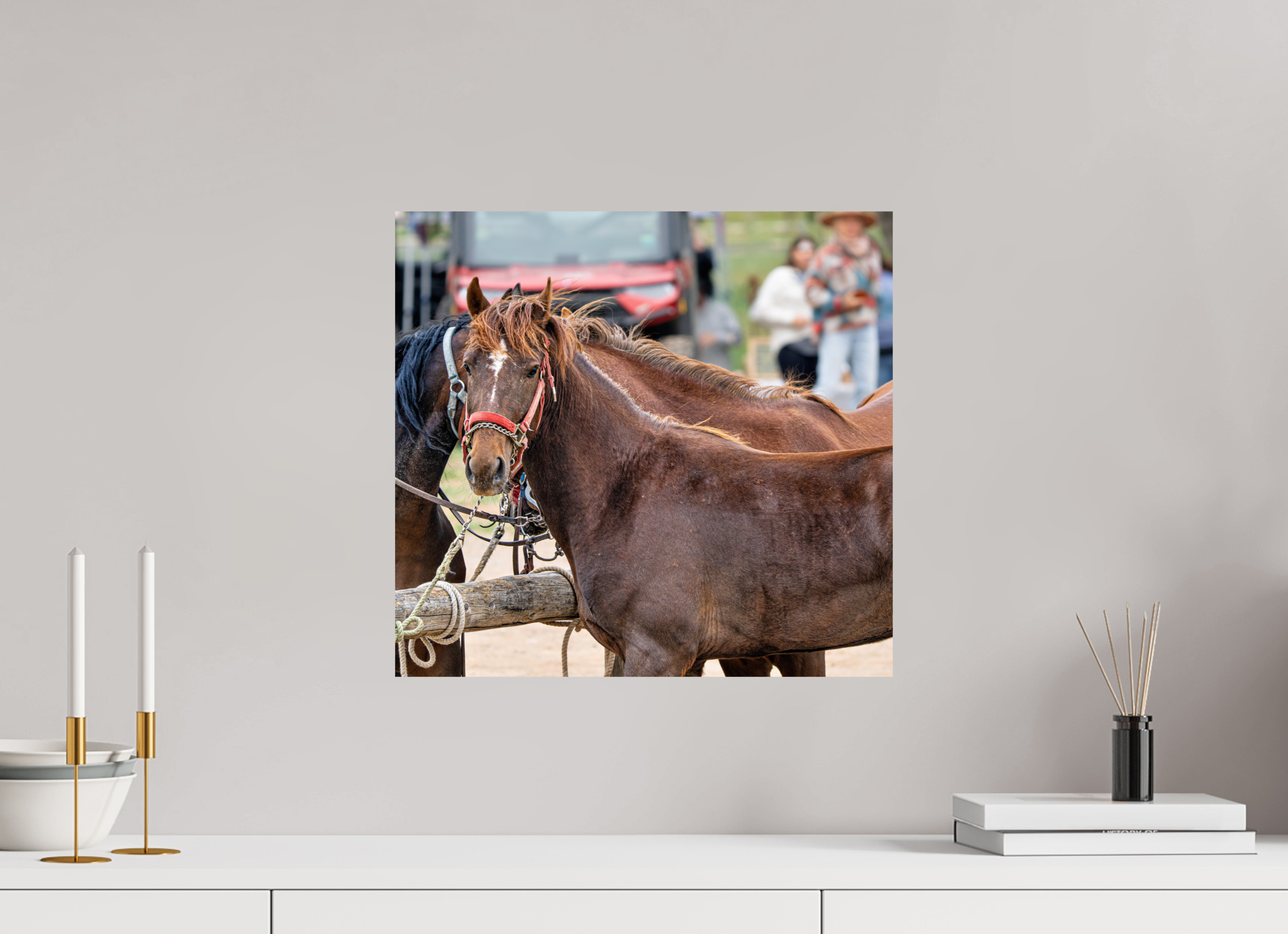 17.1 x 16″, METAL Pack Horse Portrait 10 Web Exclusive