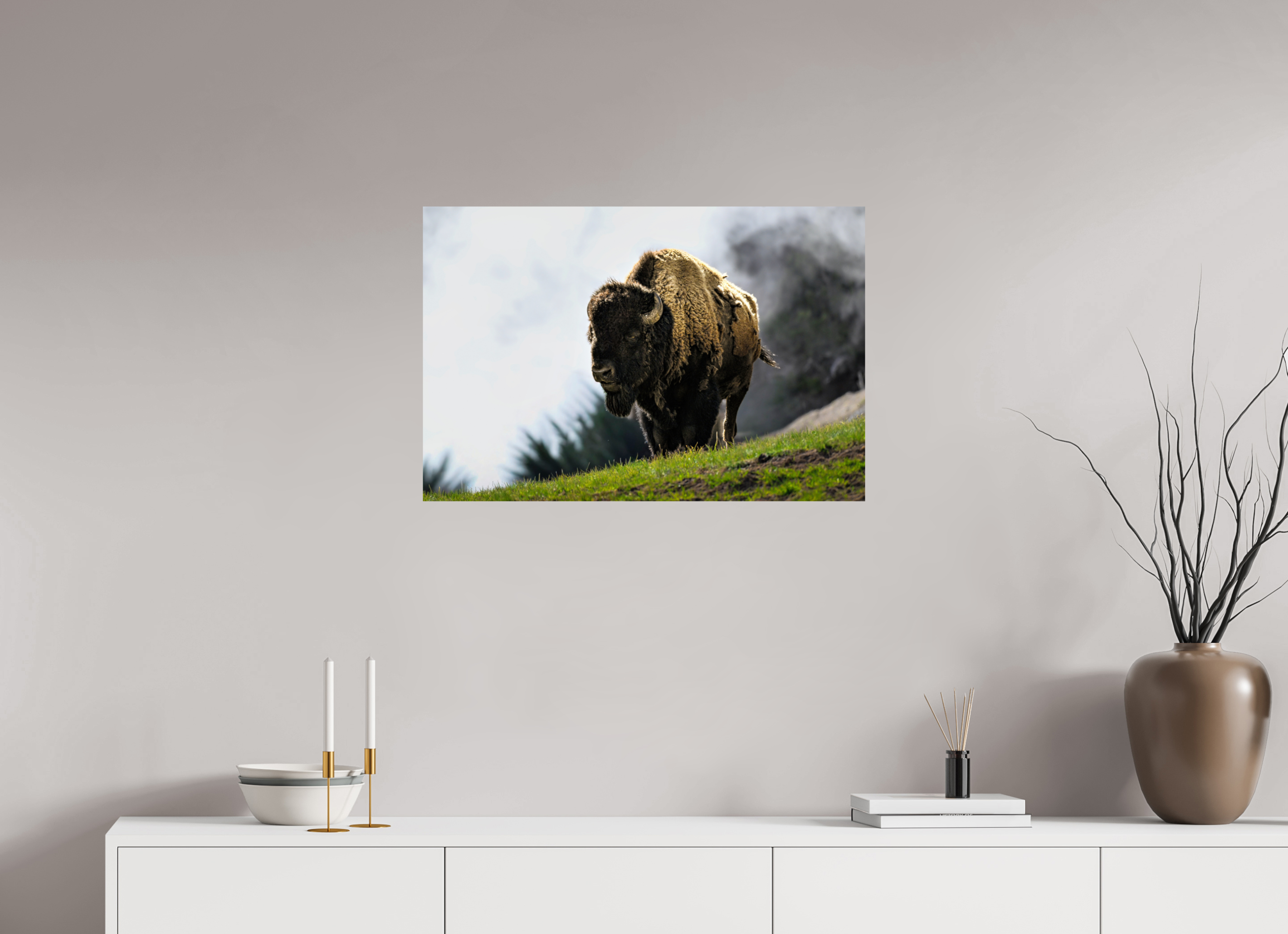 30 x 20″, PHOTO PAPER Bison
