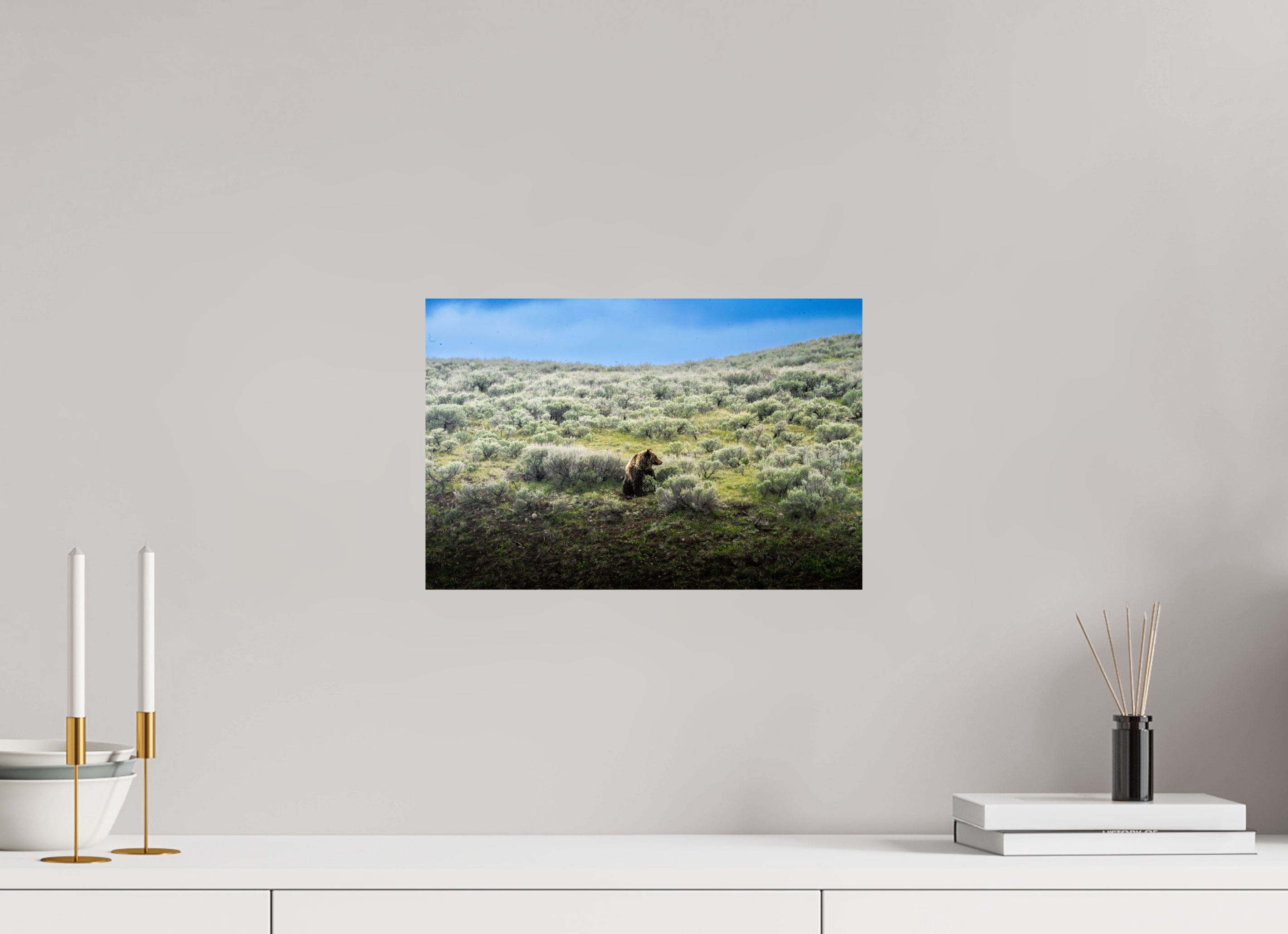 15 x 10″, METAL Bear