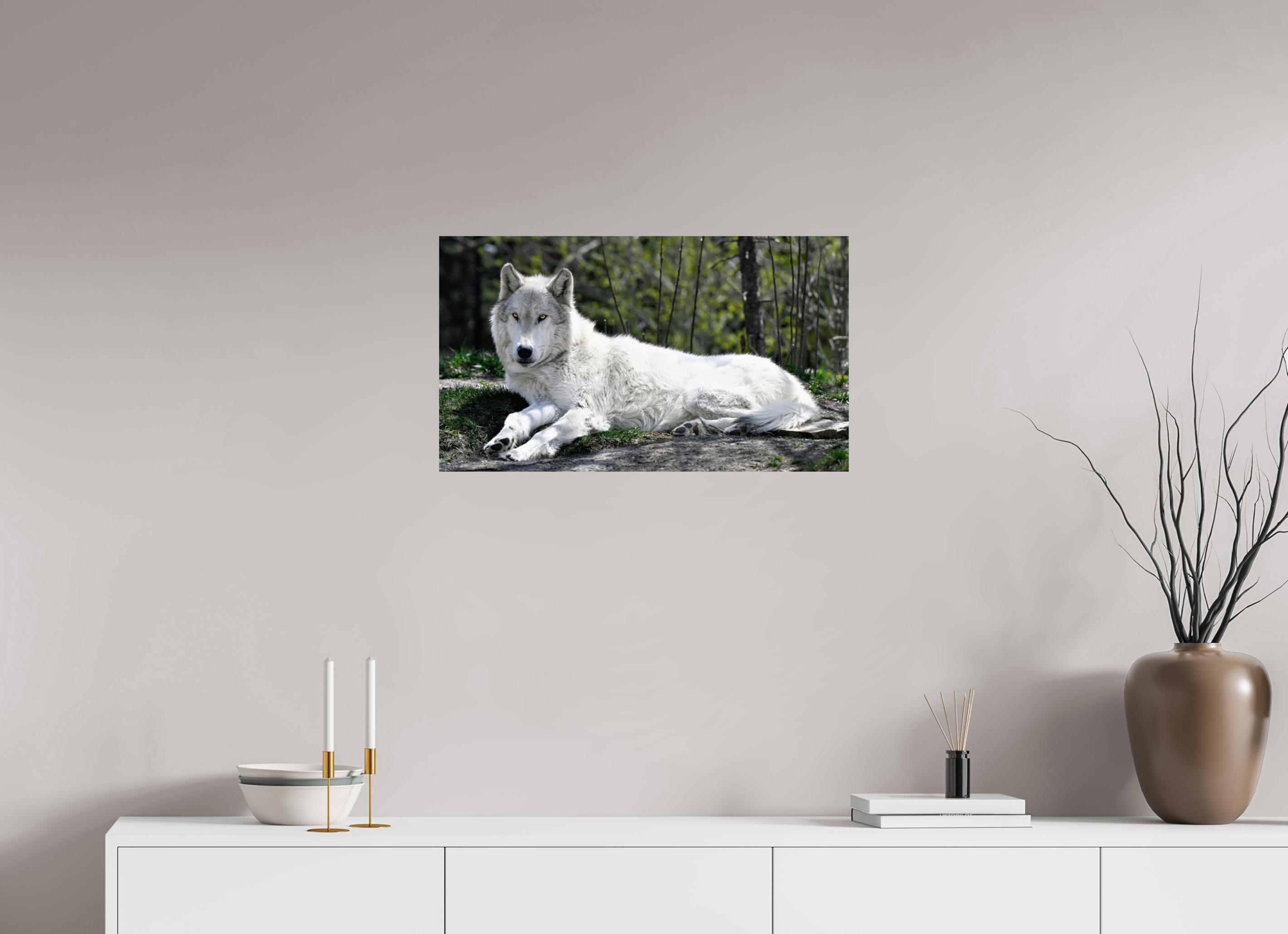 27.8 x 16″, PHOTO PAPER Wolf Laying Down