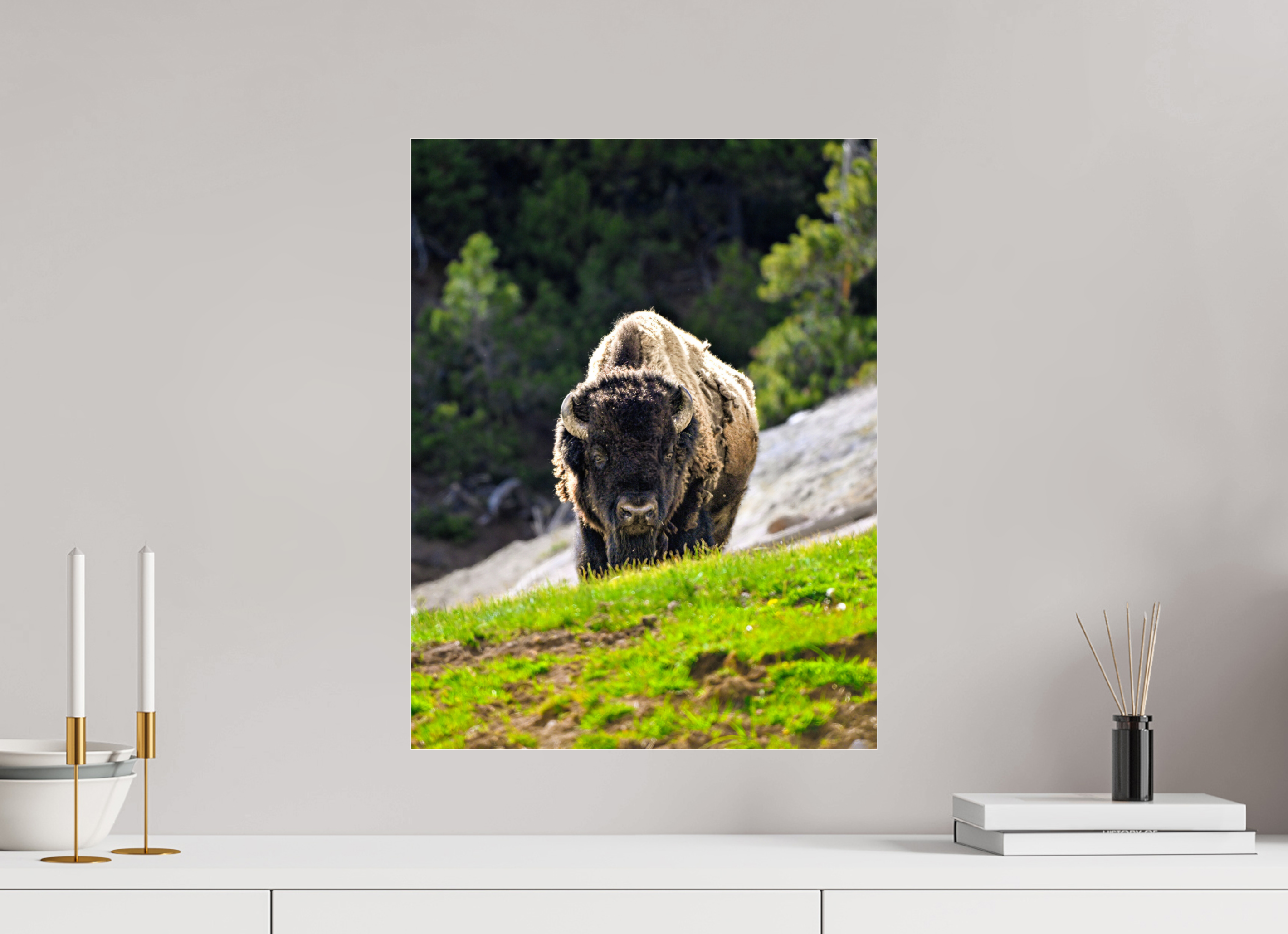 16 x 21″, ACRYLIC Bison Portrait